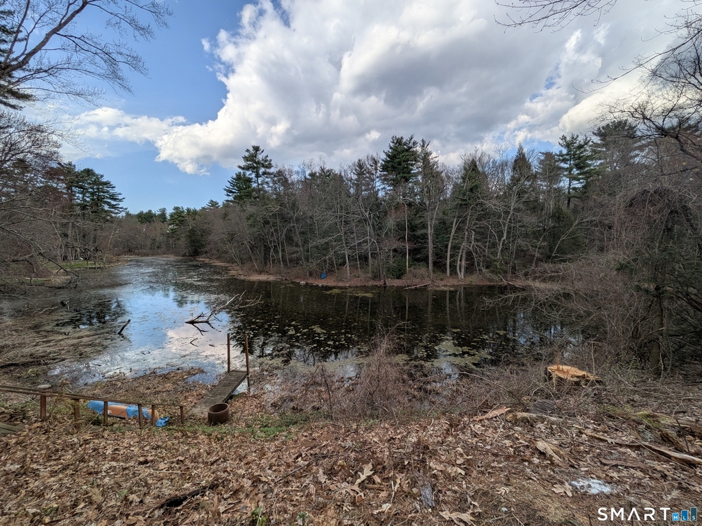 414 Salmon Brook Street - Photo 15