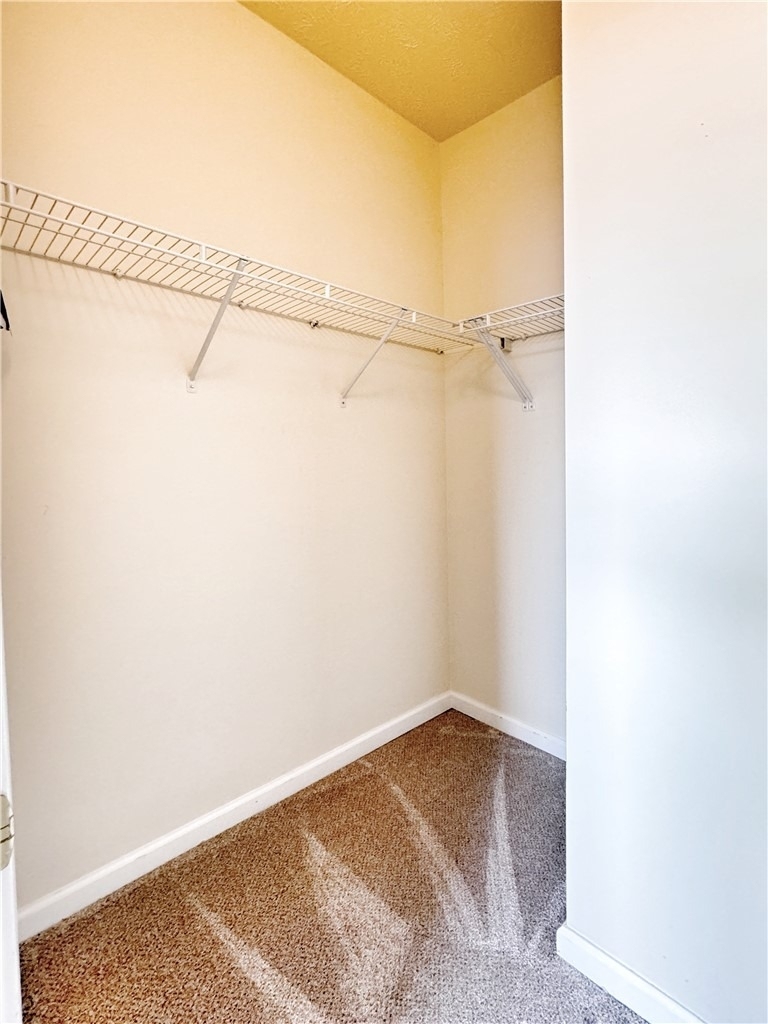 203 Sonie Dr - Photo 14
