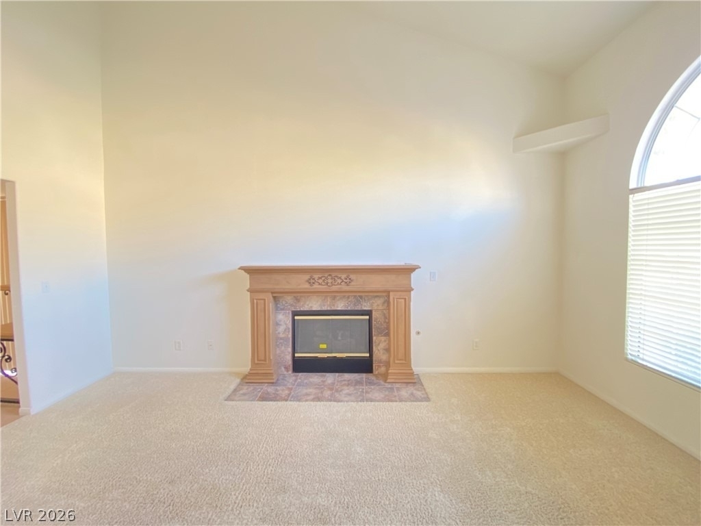 10171 Rocky Tree Street - Photo 3