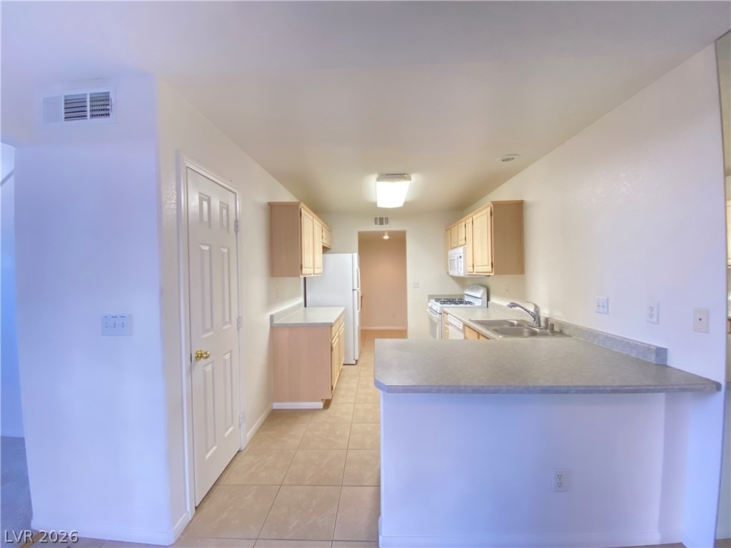 10171 Rocky Tree Street - Photo 9