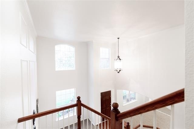 1121 Ducks Landing - Photo 18