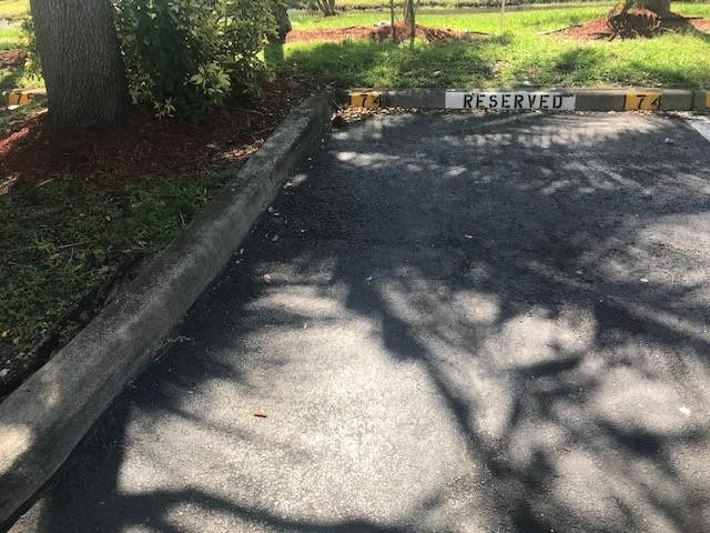 741 N Pine Island Road - Photo 6