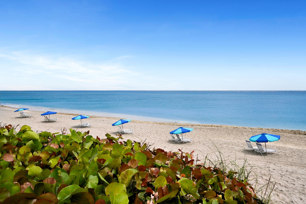4100 N Ocean Drive - Photo 4