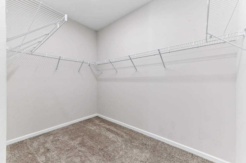 11381 Sw Lyra Drive - Photo 8