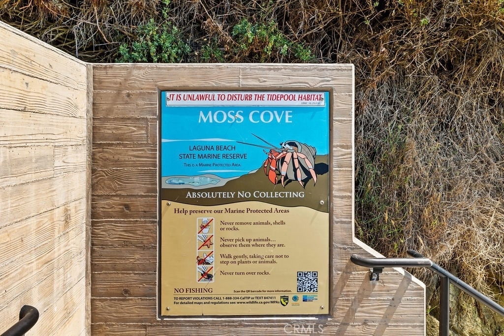 240 Moss - Photo 16