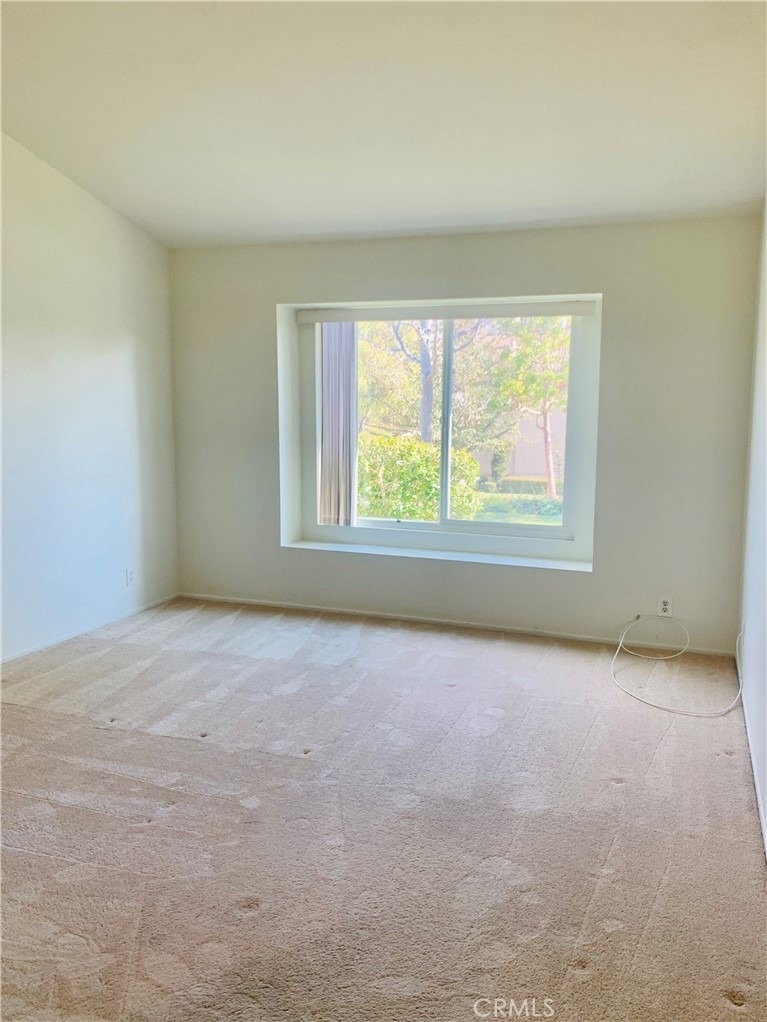 28552 Pacheco - Photo 13