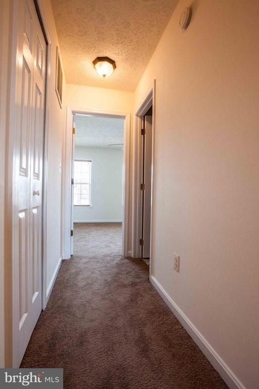 10502 Guilderland Court - Photo 5