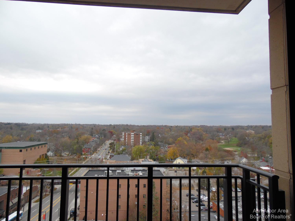 111 N Ashley Street - Photo 19