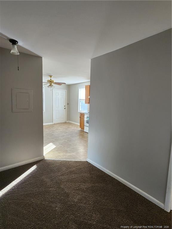 1347 Levy Drive - Photo 11