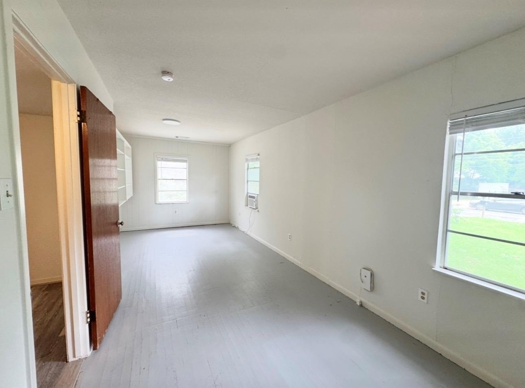 406 Swanee Dr - Photo 5