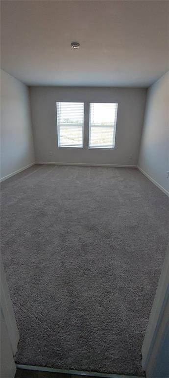 133 Oxford Lane - Photo 24
