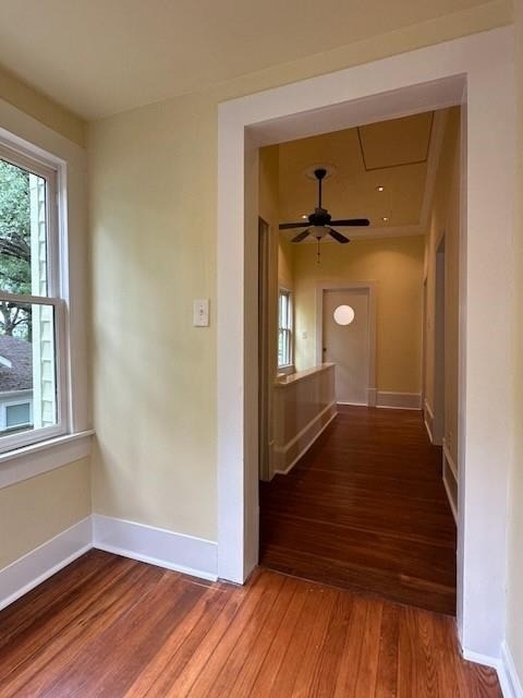 1023 Tulane Street - Photo 27