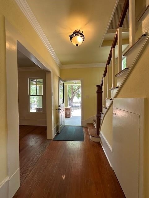 1023 Tulane Street - Photo 9