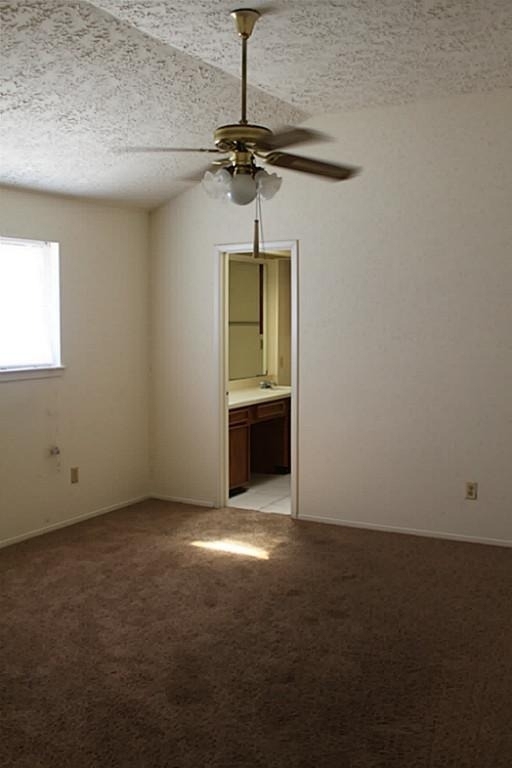 11610 Ridge Run Drive - Photo 12