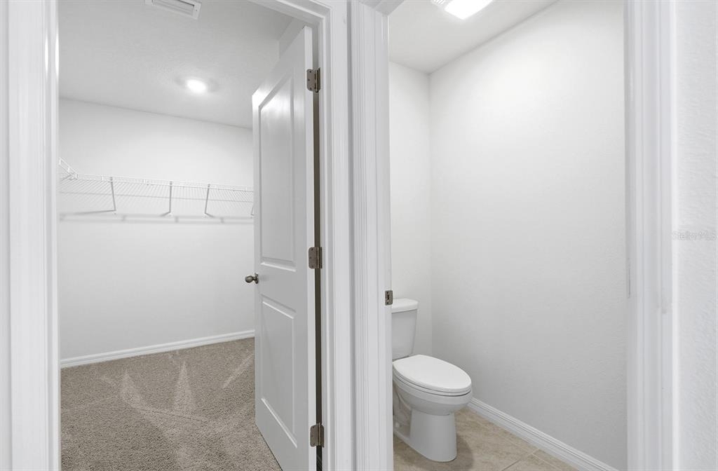 13196 Golden Lime Avenue - Photo 30