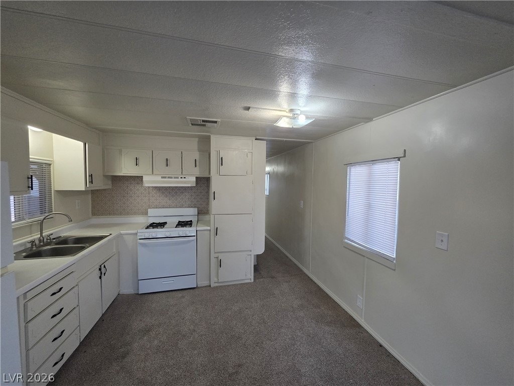 3 Piute Valley Drive - Photo 17