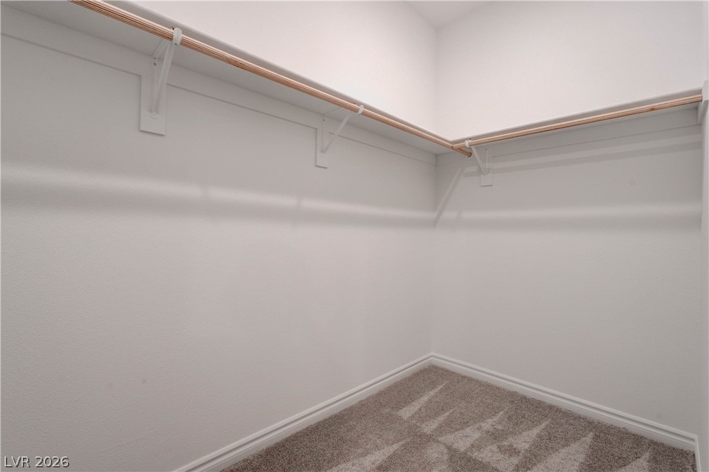 3302 Viola Hills Avenue - Photo 16