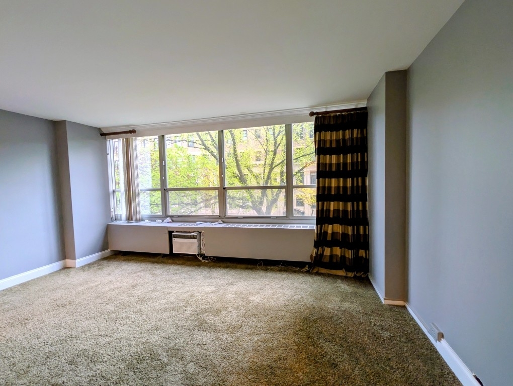 3550 Lake Shore Drive - Photo 10