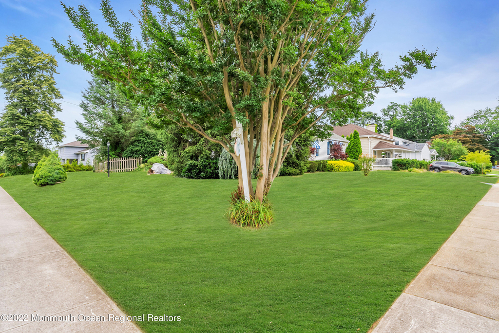11 Elm Avenue - Photo 18