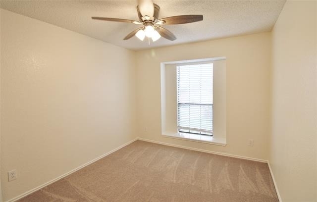 1103 Hemlock Court - Photo 8