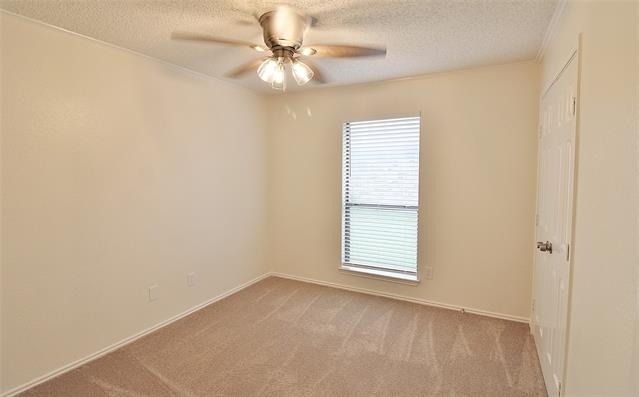 1103 Hemlock Court - Photo 7