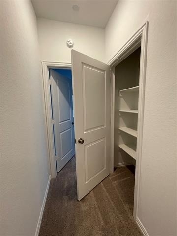 9931 Tolbert Street - Photo 22