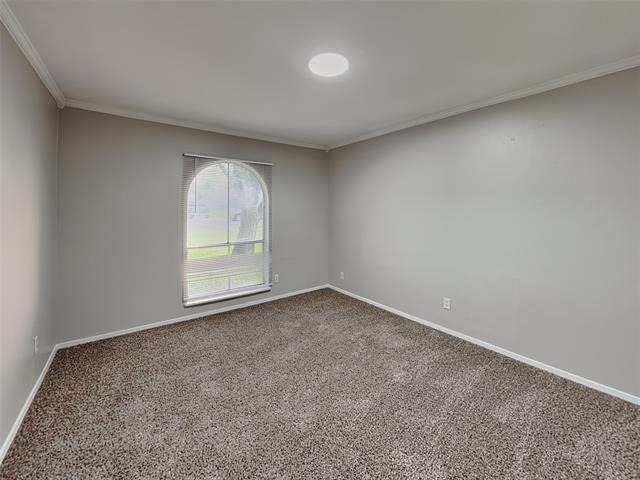 117 Cooper Street - Photo 11