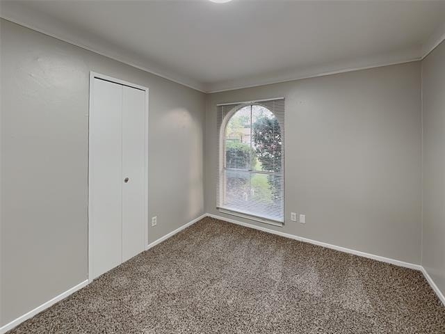 117 Cooper Street - Photo 9