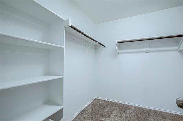120 Abelia Drive - Photo 27