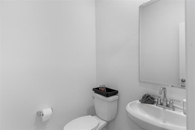 300 Foxglove Hill - Photo 33
