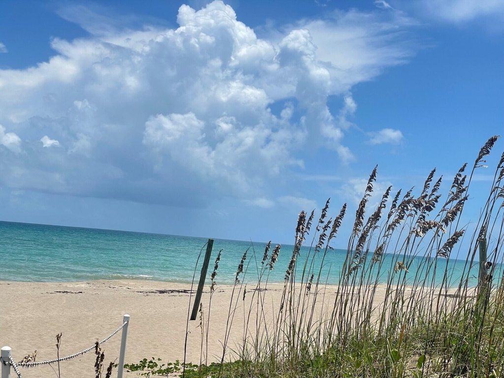 2400 S Ocean Drive - Photo 14