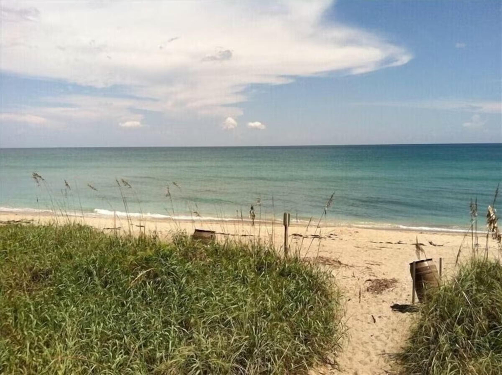 275 Palm Avenue - Photo 15