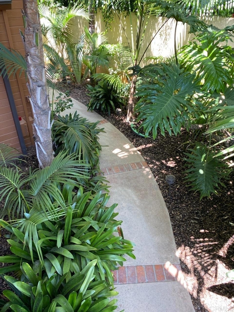 714 Passiflora Avenue - Photo 6