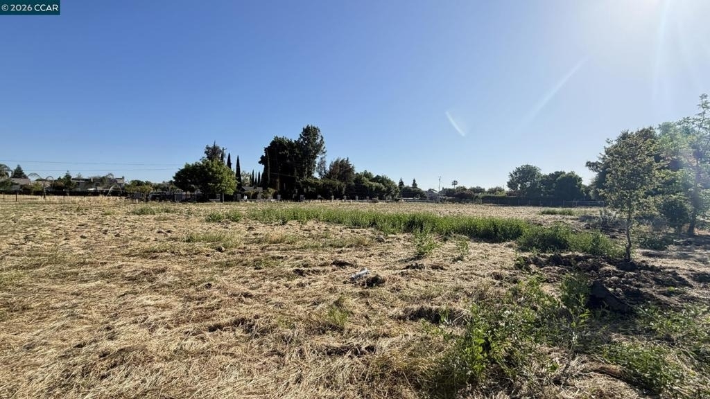 7770 Lone Tree - Photo 30