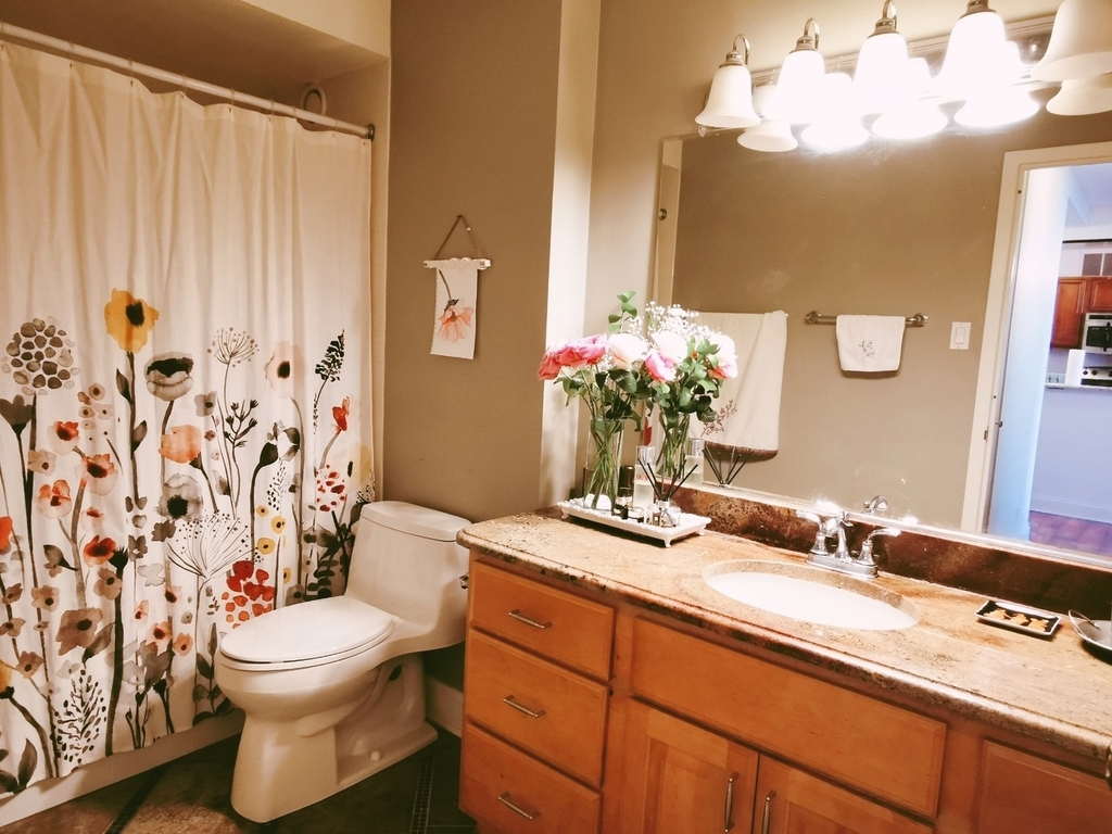 211 E Ohio Street - Photo 7