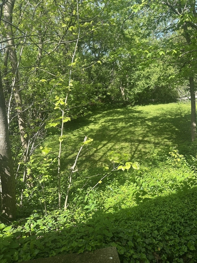 2030 Crestwood Lane - Photo 15