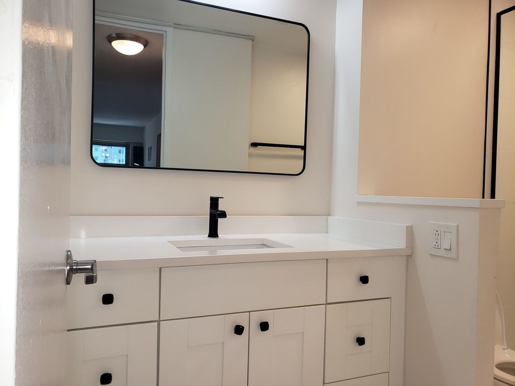 535 N Michigan Avenue - Photo 11