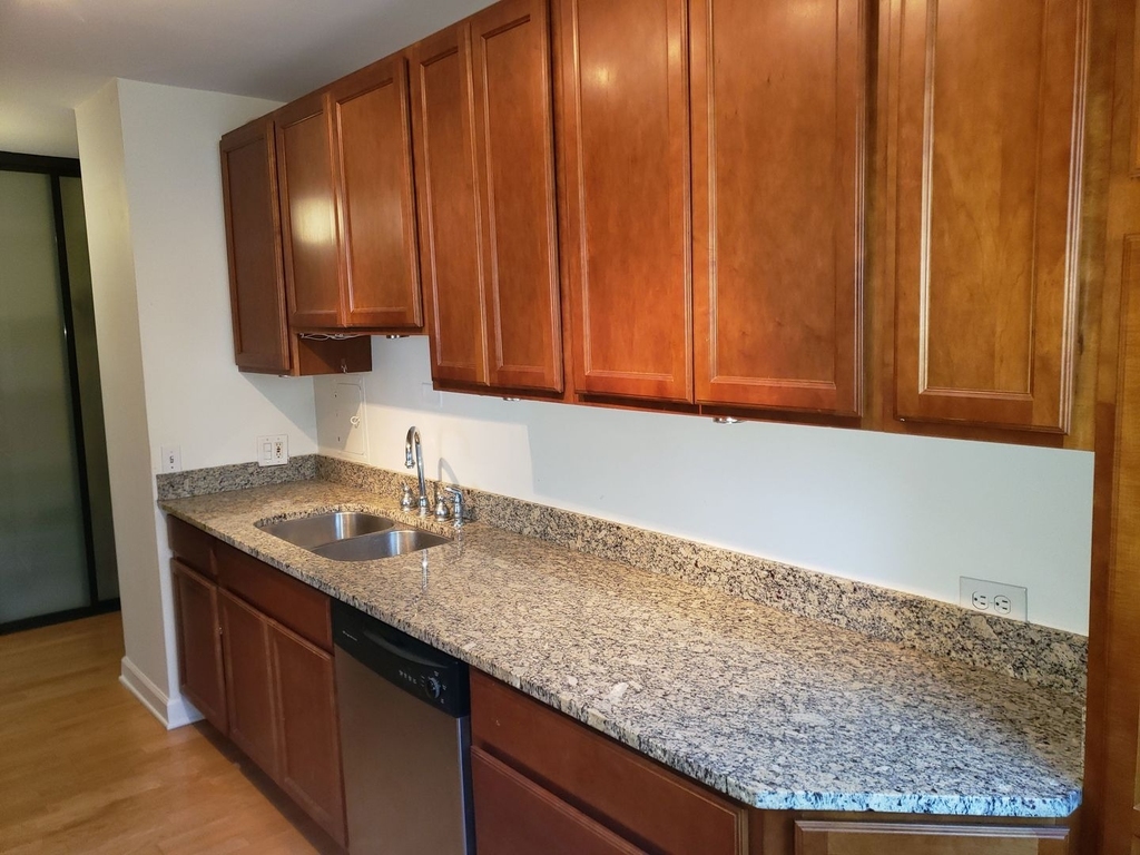 535 N Michigan Avenue - Photo 9