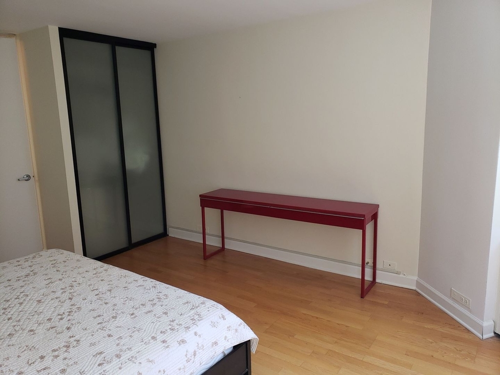 535 N Michigan Avenue - Photo 16