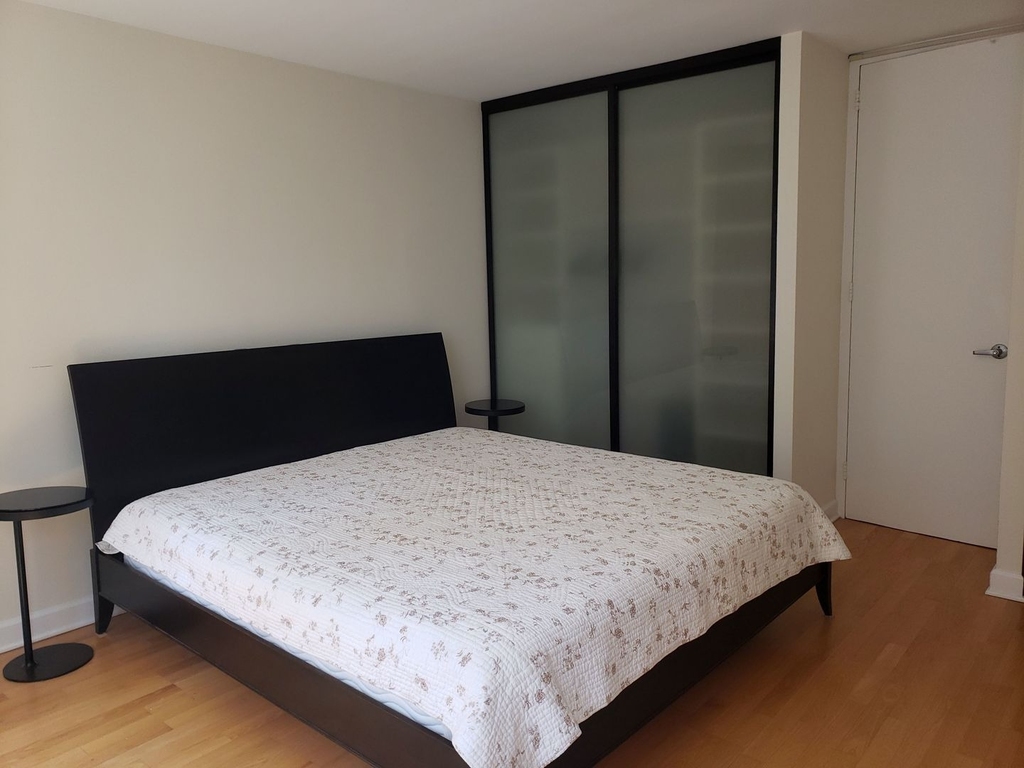 535 N Michigan Avenue - Photo 17