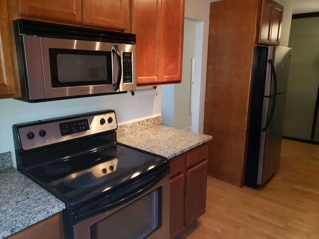 535 N Michigan Avenue - Photo 8