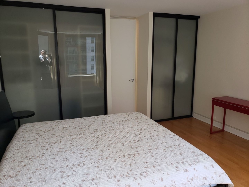 535 N Michigan Avenue - Photo 15