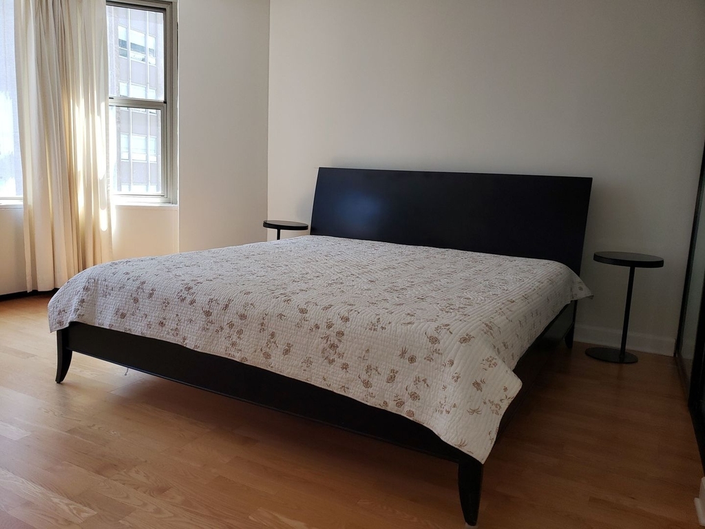 535 N Michigan Avenue - Photo 13