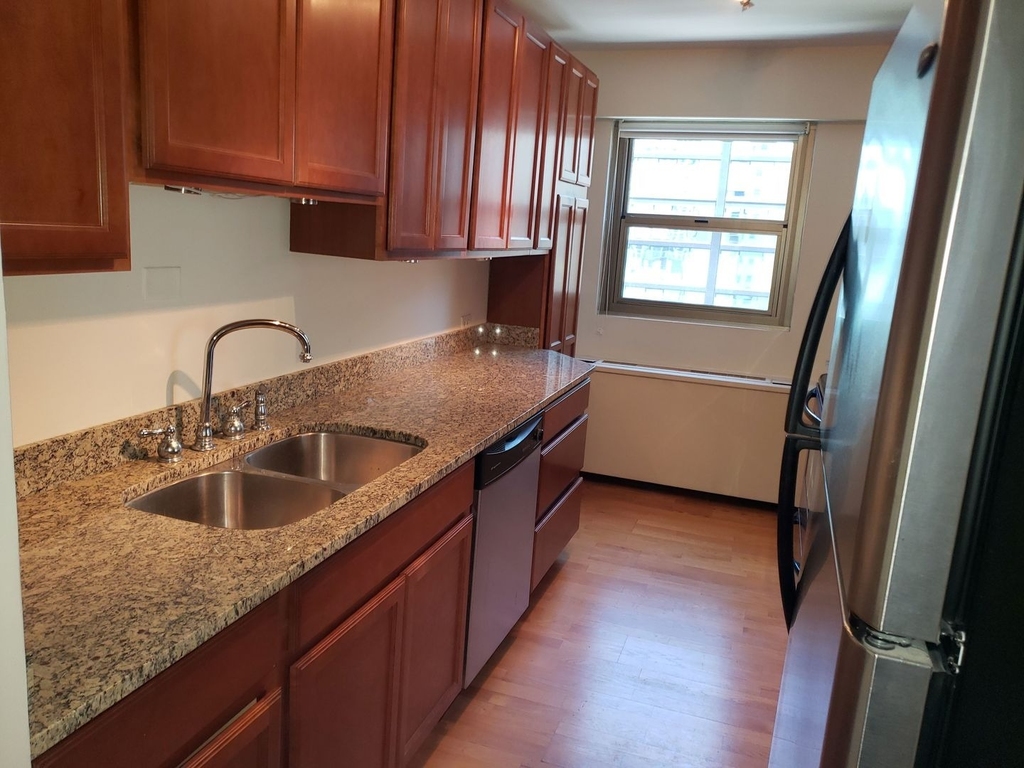 535 N Michigan Avenue - Photo 6
