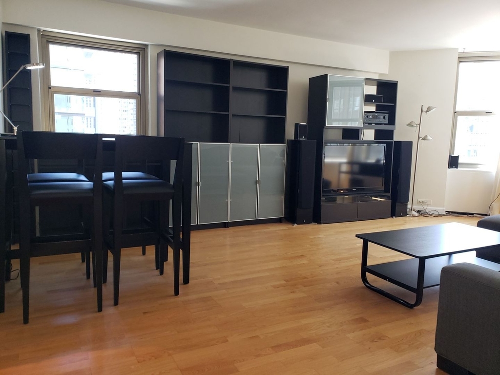535 N Michigan Avenue - Photo 2
