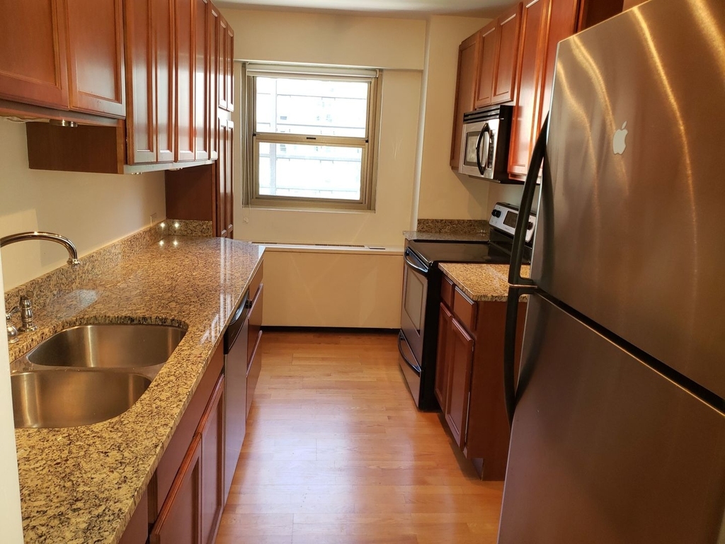 535 N Michigan Avenue - Photo 5