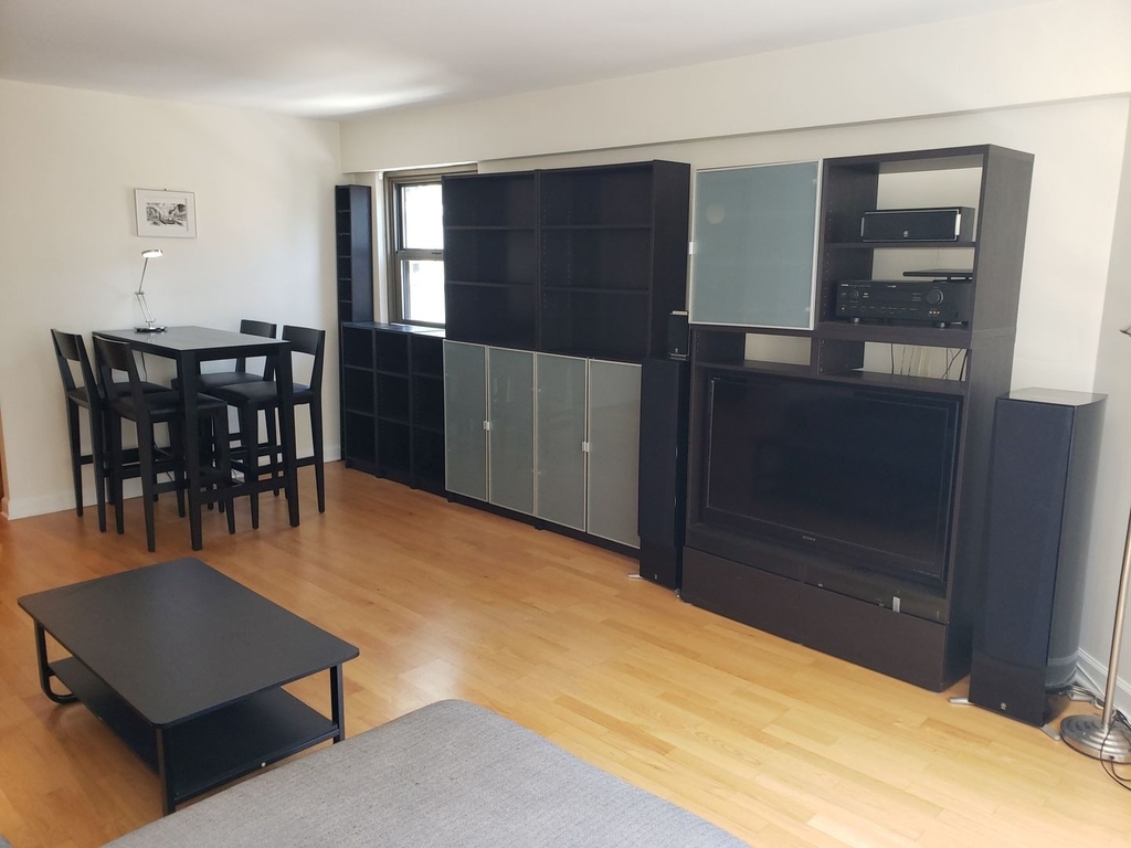 535 N Michigan Avenue - Photo 3