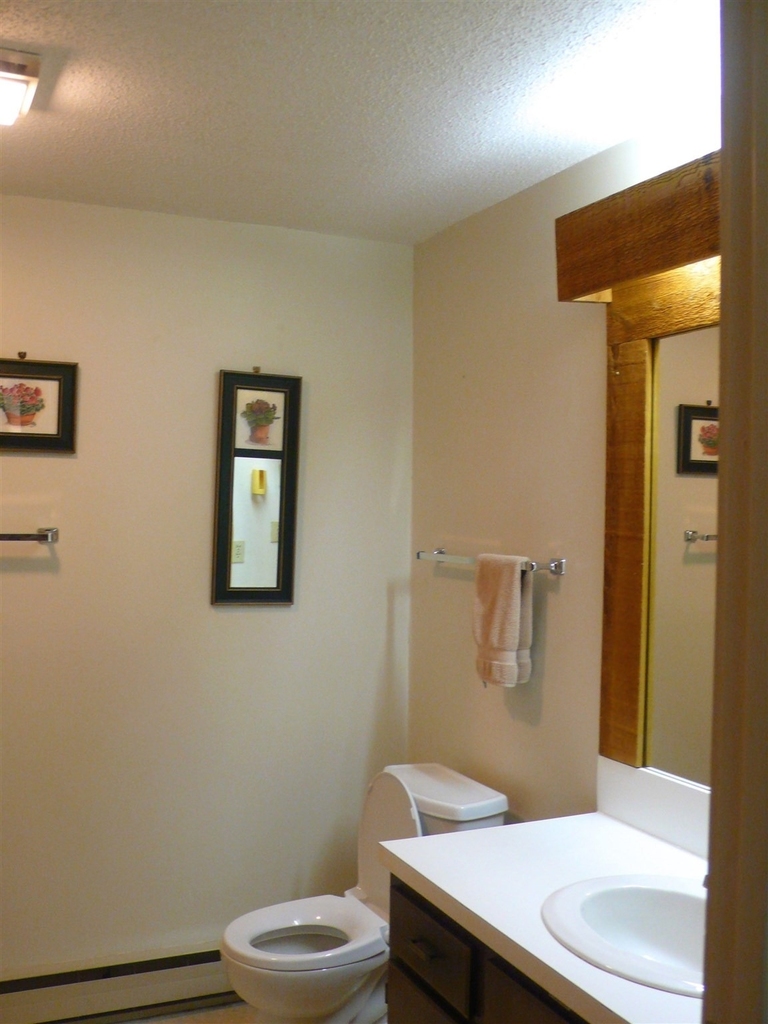 103 Snows Brook - Photo 10