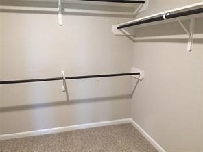 3018 Erickson Manor Court - Photo 4