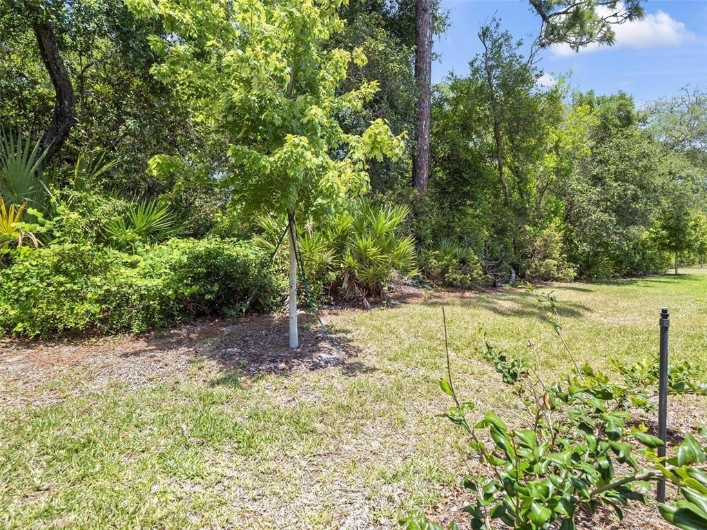 73 Moana Court - Photo 24